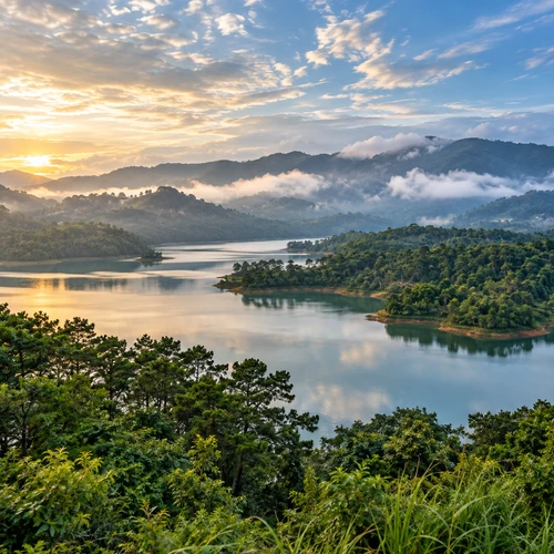 A city PolicyIQ serves in Meghalaya
